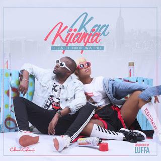 Download Audio Mp3 | Feza Ft Nikki Wa Pili - Kaa Kijanja