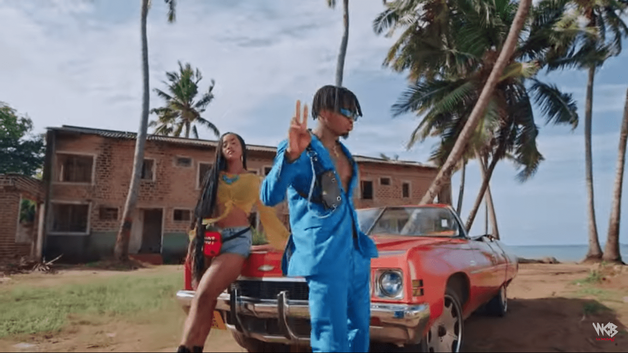 Video | Tanasha X Diamond Platnumz - Gere | Download