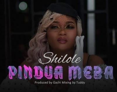 Audio | Shilole - pindua Meza | Mp3 download