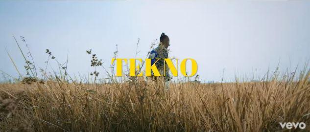 VIDEO | Tekno - Designer | Download