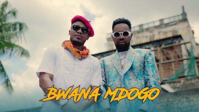 VIDEO | Alikiba Ft. Patoranking - Bwana Mdogo | Mp4 Download