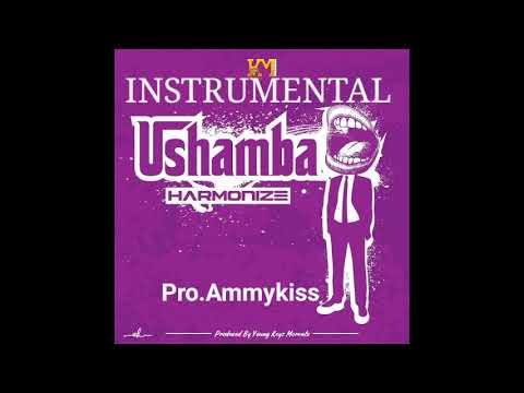 Download Audio Mp3 | Harmonize - Ushamba (Instrumental)