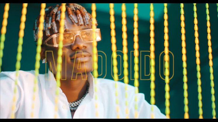 Download Video Mp4 | Hamadai Ft. Shetta – Madoido