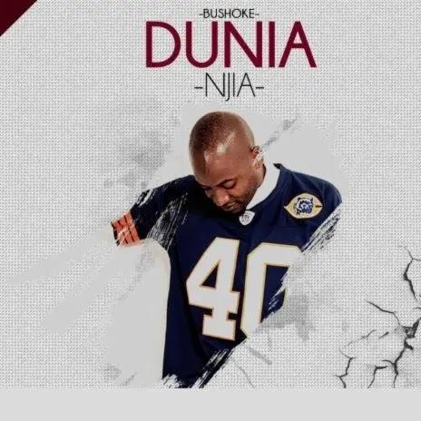 Download Audio Mp3 | Bushoke - Hallo