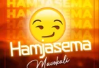 Download Audio Mp3 | Mavokali – Hamjasema