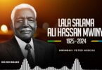 Download Audio Mp3 | Peter Msechu - Lala Salama Mwinyi