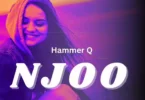 Download Audio Mp3 | Hammer Q – Njoo