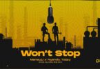 Download Audio Mp3 | MansuLi x Nyandu Tozzy – Won’t Stop