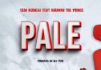 Audio Mp3 | Izzo Bizness Ft. Baraka The Prince – Pale | Download
