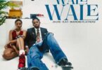 Audio Mp3 | Zuchu Ft. Diamond Platnumz – Wale Wale | Download